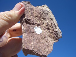 Uraninite Uranium Rock 11.7 Oz. 28K Cpm, L.V. Utah $30.00 + $12.80 Shipping - £23.97 GBP