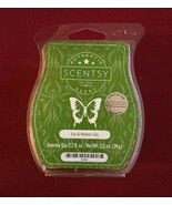 Scentsy Wax Bars NOS Old Scent Of The Month Ivy &amp; Water Lily - $7.91