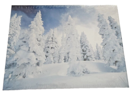 Hallmark Springbok 500 Piece Jigsaw Puzzle Snowy Tree Landscape 01501261... - $9.94