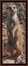 Looking At You - Meerkat ~~ Cross Stitch Pattern - $19.95