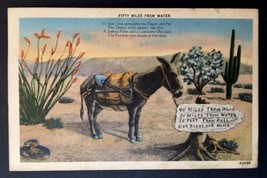 Donkey in Desert &quot;Fifty Miles from Water&quot; Poem, Cactus - Vintage Linen POSTCARD - £3.99 GBP