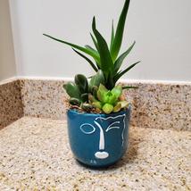 Succulent Arrangement in Blue Face Planter, Indoor House Plant Pot, 4" Ceramic image 2