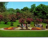 Highland Park Lilac Garden Rochester New York NY UNP Chrome Postcard H22 - £1.52 GBP