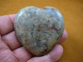 DP4-34 Real DINOSAUR POOP carved Puffy heart Utah Dino Coprolite Fossil display - £29.81 GBP