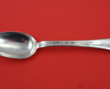 Lap Over Edge Acid Etched by Tiffany &amp; Co Sterling Serving Spoon fern 8 ... - $503.91