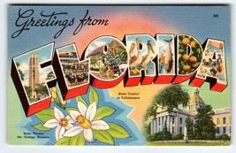 Greetings From Florida State Large Letter Linen Postcard 1952 Orange Blossom - £12.07 GBP