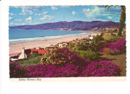Santa Monica Bay CA-Coastline Floral-Stamp-Plastichrome-4x6 Postcard~CA1 - £3.53 GBP