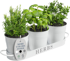 Indoor Herb Garden Planter Set with Tray, Metal Windowsill Plant Pots wi... - €37,59 EUR