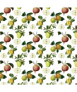 NEW 24x30&quot; Roll Of Gift Wrapping Paper, Pre-cut Sheets, Made in USA - Ap... - $202.13 MXN