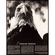 1963 Electric Light and Power Company Bald Eagle Vintage Print Ad Wall A... - £8.46 GBP