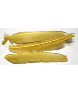 Turkey Biot Quills Fly-Tying -Hareline Dubbing 2/pack Pale Dun #497 - $3.76 CAD