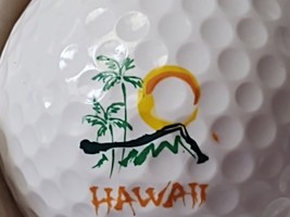 Hawaii Golf Ball Travel Souvenir Golfer Swag Advertising Promotional Item - $15.99