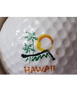 Hawaii Golf Ball Travel Souvenir Golfer Swag Advertising Promotional Item - £12.67 GBP