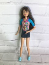 Mattel 2010 Barbie Little Sister Skipper Doll Blue Streak Hair From Dog Pug Set - £22.08 GBP