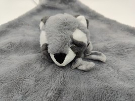 Little Miracles Costco Grey Raccoon Baby Blanket 14”x14” Lovey Security - $15.95