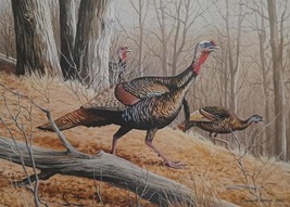 Wooded Seclusion - Turkeys by Maynard Reece - Wild Turkey Stamp Print, artist si - £66.37 GBP