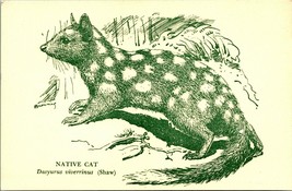 Native Cat (Shaw) National Museum of Victoria Australia Postcard UNP - £3.95 GBP