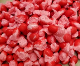 Freeze-Dried RED HOTS CANDY SAMPLES EACH ORDERDino-Delites - £4.42 GBP+