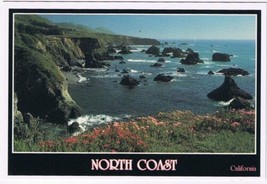 Postcard Spring Flowers Enhance Beauty Along Northern California Coast - $2.73