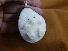 (TNE-HED-636c) Hedgehog hanging on string TAGUA NUT figurine hedgehogs - $24.99