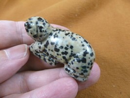 (Y-SEAL-563) spotted Jasper SEAL gemstone carving FIGURINE gem seals sea... - $14.01