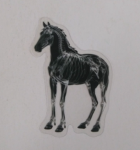 Horse X-Ray Transparent Sticker 2.25&quot; x 1.75&quot; (AI) - $1.64