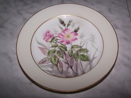 1876-1881 CFH Charles Field Haviland Decorative Desert Dish Plate Wild Rose 7.5W - £11.79 GBP
