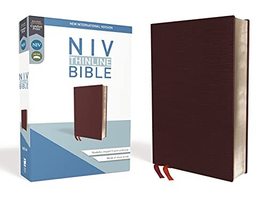 NIV, Thinline Bible, Bonded Leather, Burgundy, Red Letter, Comfort Print [Bonded - £23.48 GBP