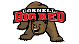 c Cornell, big red NCAA College Team Logo Poster Flag 12x8in Metal Sign - $24.74