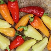 Santa Fe Grande Hot Pepper 25 Seeds Gardening Fresh USA Seller - £5.82 GBP