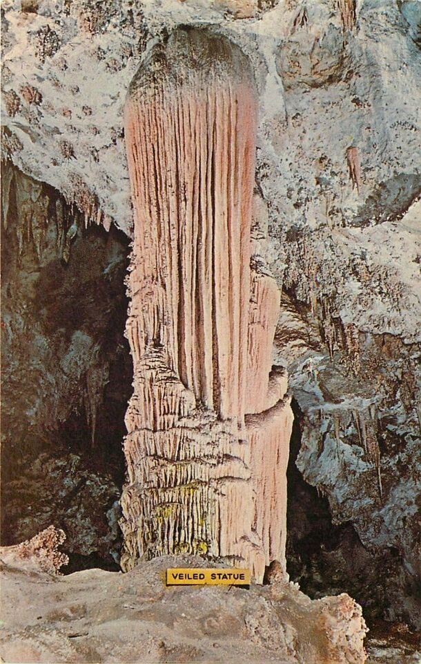 Chrome Postcard New Mexico H613 Veiled Statue Carsbad Caverns Green Lake... - $3.47