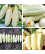 20 Seeds Cucumber Long White Wonder - €11,19 EUR