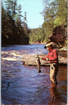 Rainbow Trout in Black River near Ironwood Michigan Postcard Posted 1980 - £4.11 GBP