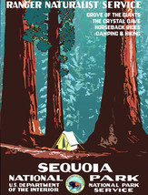 4&quot; sequoia national park car sticker decal usa made - £13.57 GBP