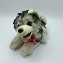 Wild Wonders Northern Gifts Plush Husky Dog Wolf Canada Souvenir 9”Stuffed Toy - £12.74 GBP