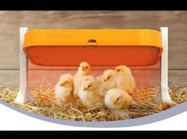 Chickcozy Chick Brooder Heating Plate with Adjustable Height and Angle - £19.47 GBP
