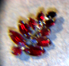 Vtg. Broche Pin Deep Red Rhinestone 1 1/2&quot; Dragons Breath Grape Cluster Glamorou - £20.46 GBP