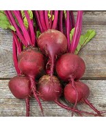 Babybeat Beets Early Variety Vegetable New Fresh US Shipping - $354.21 MXN