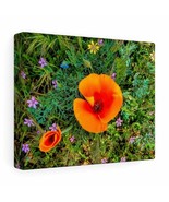 Canvas Gallery Wraps &quot;Two Poppies&quot; - $555.34 MXN+