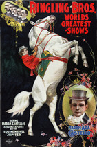 Vintage Circus POSTER.Home wall.White Horse.Room art Decor.859 - $17.82+