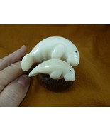 TNE-MAN-708b white Manatee mama + baby sea TAGUA NUT figurine DUGONG - $1,088.74 MXN