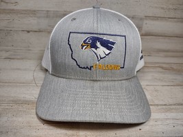 Christian Heritage School Bozeman Montana Falcons Embroidered Mesh Snapb... - $6.71