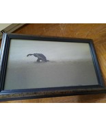 Vtg Art Print Nesting Female Sea Turtle On Beach Glass Face Brown Wooden... - £8.93 GBP