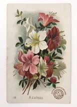 1880s Arm &amp; Hammer Beautiful Flowers #14 Azaleas Church &amp; Co.  Card - £9.41 GBP