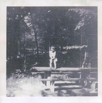 Vintage Toddler Eddie Standing On Picnic Table In The Woods Detroit Michigan 194 - £3.97 GBP