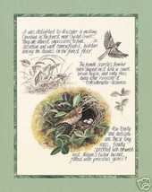 Ovenbird Bird Study Michelle Mara Art Print 8x10 - $108.01 MXN
