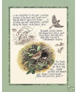 Ovenbird Bird Study Michelle Mara Art Print 8x10 - $108.01 MXN