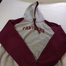 Panthers Men's Gray & Red Long Sleeve Drawstring Hoodie Pullover Sweatshirt XL image 10