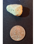Hawaiian Coral Rock Fossil Stone Natural Beach Souvenir Unique Collectible - $9.99
