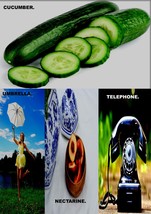 CUCUMBER UMBRELLA NECTARINE TELEPHONE. THE BIZARRE NEW BOOK BY OMAR GUFT... - $4.99